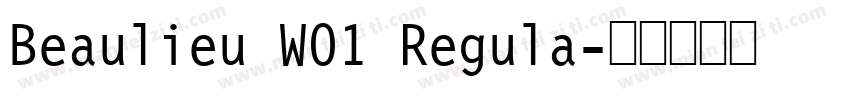 Beaulieu W01 Regula字体转换